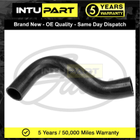 Патрубок радиатора нижний для Ford Transit 1986-2000 2.5 D / TD